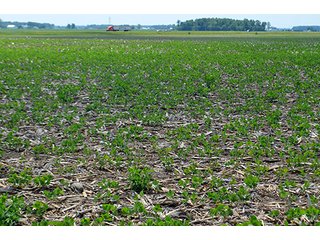 Property photo 83 - LAND AUCTION - 700+/- ACRES OFFERED IN 16 TRACTS IN ALLEN COUNTY, INDIANA